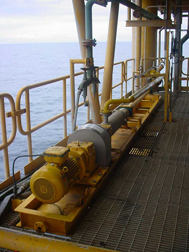 Customer references - PCM long shaft vertical PCP in FPSO