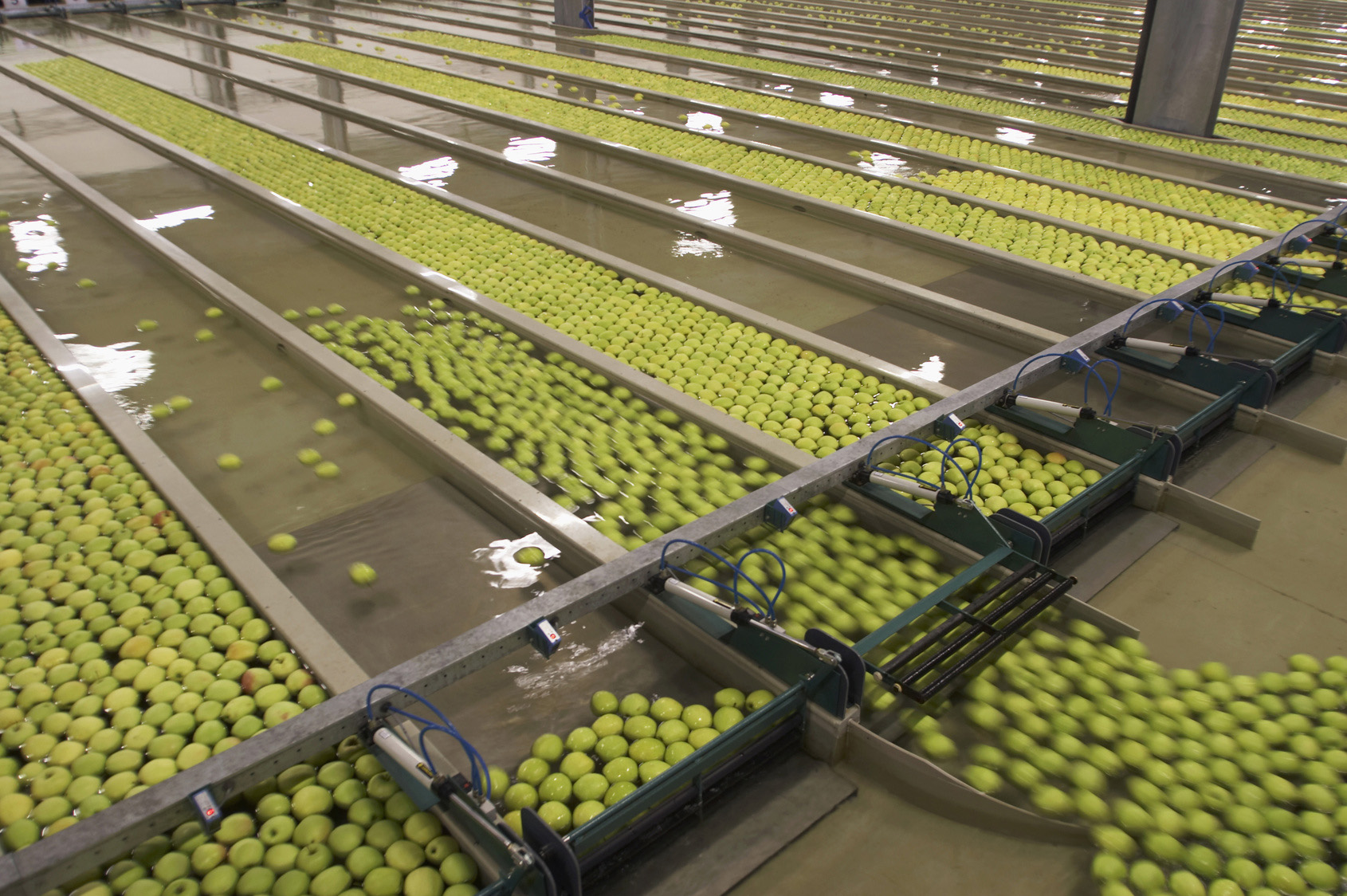 Frutas y hortalizas