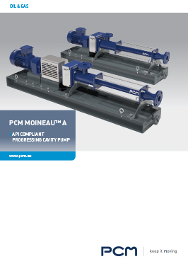 Brochure API standard pumps - PCM Moineau™ A