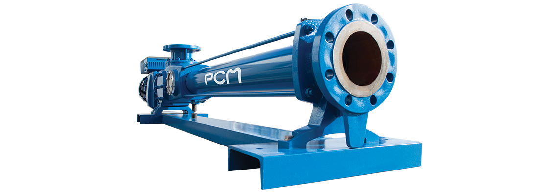 EcoMoineau™ M cast iron progressing cavity pump 