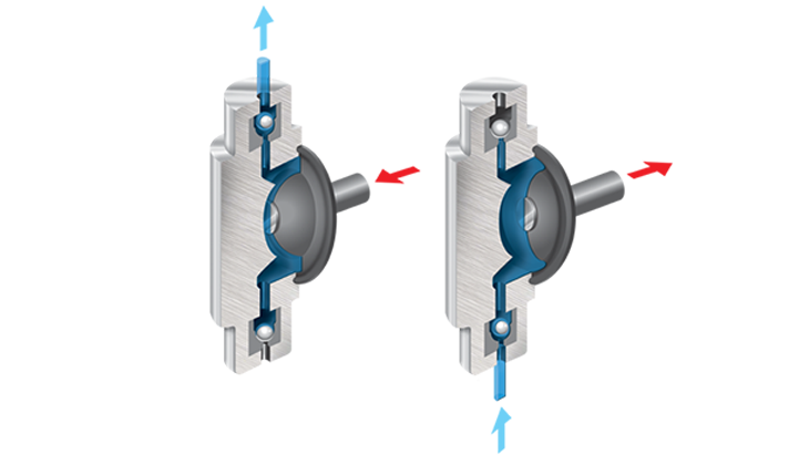 Membrandosierpumpe für Lebensmittel Lagoa