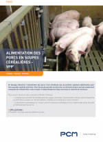 Fiche application soupe de porc